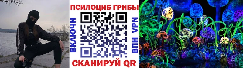 Псилоцибиновые грибы Psilocybine cubensis Бакал